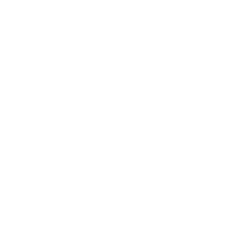 Brandia Studio